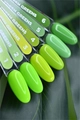 Гель-лак Delaro Fresh greens 04, 10 мл Del/FG04