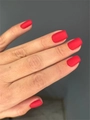 Гель-лак Envy Exclusive №75, 10 г EY075
