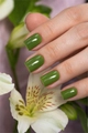 Гель-лак Monami Flora Blooms Patchouli, 8 г mn_flora_blooms6