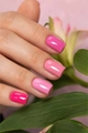 Гель-лак Monami Flora Blooms Pink Jasmine, 8 г mn_flora_blooms3