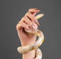 Гель-лак Monami Snake Eye №3, 8 г MN_Snake_Eye _3