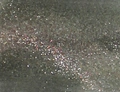 Гель-лак Sakura S232 с эффектом кошачий глаз, 9 мл S232