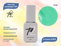 Гель-лак Ta2 TINT №005, 9 мл TA2-GGTN05