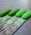 Камуфлирующая база для ногтей Mystique Leaf, 15 мл MstBLF