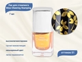 Лак для стемпинга Miss Cheering Stamping Gold №01, 7 мл MCH01