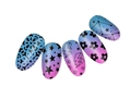 Пластина для стемпинга Miss Cheering Stamping №D13 OM-D13