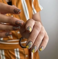 Пластина для стемпинга Swanky Stamping №101 SS101