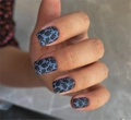 Пластина для стемпинга Swanky Stamping №15 SS015