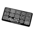 Пластина для стемпинга Swanky Stamping №23 SS023