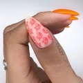 Пластина для стемпинга Swanky Stamping №30 SS030