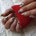 Пластина для стемпинга Swanky Stamping №49 SS049