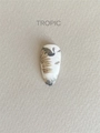 Пленки для маникюра IBDI Nails 01 Tropic 01IBDIWRAPS