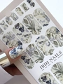 Пленки для маникюра IBDI Nails 05 Iris bird 05IBDIWRAPS