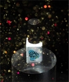 Прозрачный лак для стемпинга Swanky Stamping, 6 мл SSSSC01