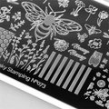 Пластина Swanky Stamping №73292 SS073