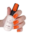 Гель-лак LOVIA CURE 255,8 мл LC255