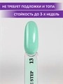 Гель-лак ENIGMANIC ONE STEP №13, 10 мл 42265
