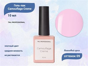 {{productViewItem.photos[photoViewList.activeNavIndex].Alt || productViewItem.photos[photoViewList.activeNavIndex].Description || 'Гель-лак TNL Camouflage Creme №09 Вишневый крем, 10 мл'}}