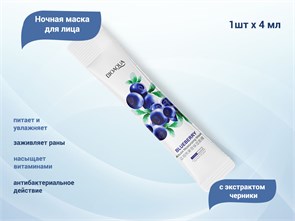 {{productViewItem.photos[photoViewList.activeNavIndex].Alt || productViewItem.photos[photoViewList.activeNavIndex].Description || 'Ночная маска для лица BIOAQUA с экстрактом черники, 1 шт., 4 мл'}}