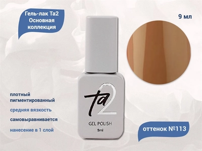 {{productViewItem.photos[photoViewList.activeNavIndex].Alt || productViewItem.photos[photoViewList.activeNavIndex].Description || 'Гель-лак Ta2 Основная коллекция №113, 9 мл'}}