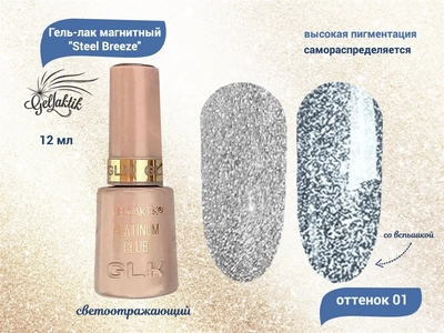 {{productViewItem.photos[photoViewList.activeNavIndex].Alt || productViewItem.photos[photoViewList.activeNavIndex].Description || 'Гель-лак магнитный светоотражающий Gellaktik, Steel Breeze №01, 12 мл'}}