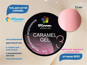 {{productViewItem.photos[photoViewList.activeNavIndex].Alt || productViewItem.photos[photoViewList.activeNavIndex].Description || 'Гель для ногтей Bloom CARAMEL №03, 15 мл'}}