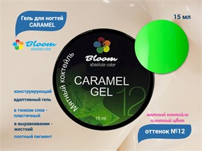 {{productViewItem.photos[photoViewList.activeNavIndex].Alt || productViewItem.photos[photoViewList.activeNavIndex].Description || 'Гель для ногтей Bloom CARAMEL №12, 15 мл'}}