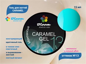 {{productViewItem.photos[photoViewList.activeNavIndex].Alt || productViewItem.photos[photoViewList.activeNavIndex].Description || 'Гель для ногтей Bloom CARAMEL №13, 15 мл'}}