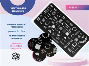 {{photo.Alt || photo.Description || 'Пластина Swanky Stamping №111'}}