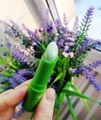 Бальзам для губ One Spring Aloe Vera, 2,7 г YZC00560