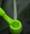 Гель-лак Delaro Fresh greens 02, 10 мл Del/FG02