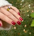 Гель-лак NIK nails Elegance 01, 8 г Nik/13090