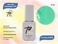 Гель-лак Ta2 TINT №005, 9 мл TA2-GGTN05 - фото 521348