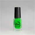 Лак для стемпинга Swanky Stamping S20 неоново-салатовый, 6 мл SSNPS20 - фото 534279