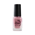 Лак для стемпинга Swanky Stamping S45, пыльная роза, 6 мл SSNPS45