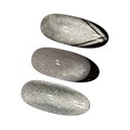 Магнитный гель-лак Tartiso SILVER CAT EYE, 10 мл TCS - фото 535195