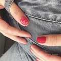 Пластина для стемпинга Swanky Stamping №20 (73) SS020
