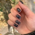 Пластина для стемпинга Swanky Stamping №20 (73) SS020