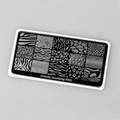 Пластина для стемпинга Swanky Stamping №21 SS021