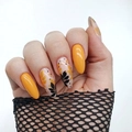 Пластина для стемпинга Swanky Stamping №42 SS042