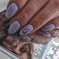 Пластина для стемпинга Swanky Stamping №77 SS077