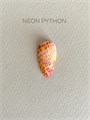 Пленки для маникюра IBDI Nails 09 Neon Pythoh 09IBDIWRAPS - фото 545556