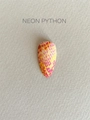 Пленки для маникюра IBDI Nails 09 Neon Pythoh 09IBDIWRAPS