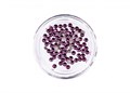Стразы в баночке №12, бордовые bl/Sb-12 - фото 553751