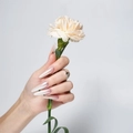 IVA nails, Втирка DRAGONFLY №1 0,02g IVVDF-01