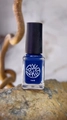 Лак для стемпинга Swanky Pro Sсandi Moss 6мл(S123) SSNPS_SC_MS