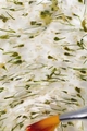 Гель для ногтей декоративный Ta2 BOTANIC CLEAR (ботанический прозрачный ), 5гр TA-BGC